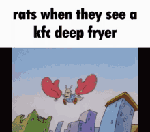 rats rats when they see a kfc deep fryer kfc deep fryer rocko rockos modern life