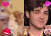 two pictures of a cat and a man with a hello kitty sticker