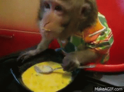 Monkey Soup GIF - Monkey Soup GIFs