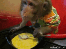 Monkey Soup GIF - Monkey Soup GIFs