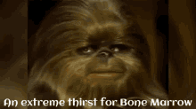 Star Wars Holiday Bone Marrow GIF - Star Wars Holiday Bone Marrow Chewbacca GIFs