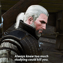 witcher videogame