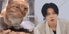 Actspromise Yeonjun Cat Side Eye GIF