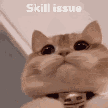 Skill Issue Cat GIF