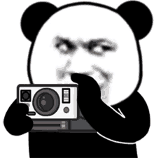 panda picture meme face