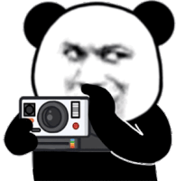 Panda Picture Sticker - Panda Picture Meme Stickers