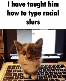 a kitten is sitting on a laptop keyboard with a caption that says i have taught him how to type racial slurs