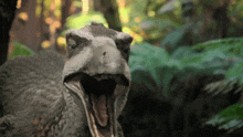 austroraptor roaring