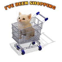 I'Ve Been Shopping Shopping Cart GIF