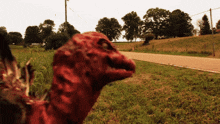 a bloody turkey is standing in the grass near a road