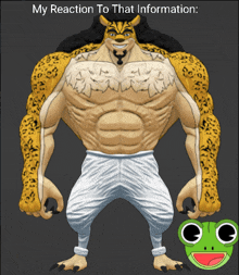 Rob Lucci Rell Seas GIF - Rob Lucci Rell Seas My Reaction To This Information GIFs