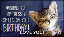 a birthday card with a kitten and the words wishing you happiness and smiles on your birthday
