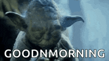 Yoda Star GIF - Yoda Star Wars GIFs
