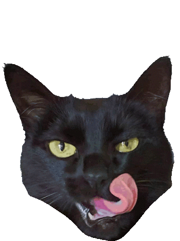 Gato Cat Sticker - Gato Cat Yummy Stickers