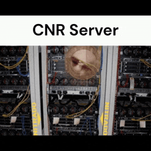 Cnr Server Cnr GIF - Cnr Server Server Cnr GIFs