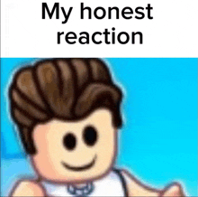 a close up of a roblox character with the words `` my honest reaction '' written on it .