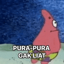 patrick star from spongebob squarepants is standing on a beach and saying pura-pura ga lihat .