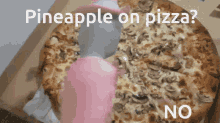 Bapesclan Pineapple Pizza GIF