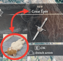 a cat is laying on a blanket next to a sword that says great epee