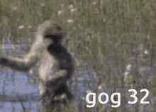 Gog32 Gog GIF - Gog32 Gog Gog Meme GIFs