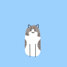 Double Trouble Cats GIF