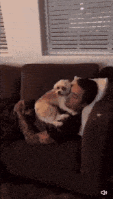 a man is laying on a couch with a small dog on his lap .