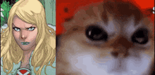 a close up of a cat 's face next to a comic book character