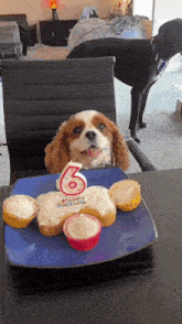 Dog Dogs GIF - Dog Dogs Cupcake GIFs
