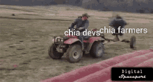 Chia Chia Mojo GIF - Chia Chia Mojo Xch GIFs