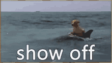Show Off GIF - Show Off Dolphin Dog GIFs