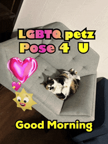 a picture of a cat laying on a couch with the words lgbtq petz pose 4 u above it