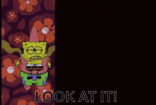a cartoon of spongebob and patrick with the words look at it below them