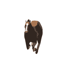 horse spin