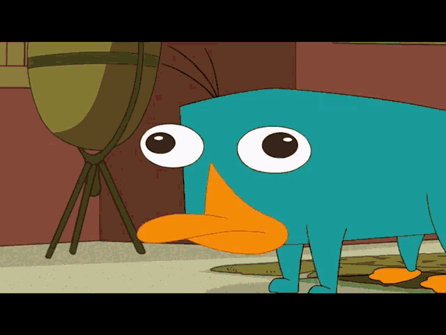 Phineas And Ferb Perry GIFs