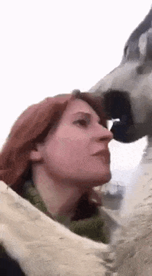a woman is being kissed by a dog .