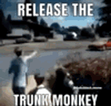 Bruh Moment Release The Trunk Monkey GIF