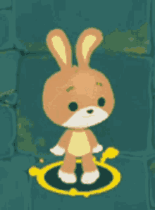 rabbit dancing