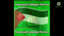 Palestine Cabbage Pult GIF - Palestine Cabbage Pult GIFs