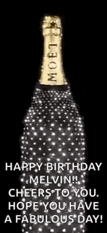 Moet Champagne GIF - Moet Champagne GIFs