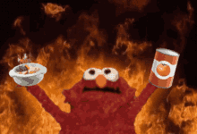 Elmo Fire GIF - Elmo Fire Hellmo GIFs