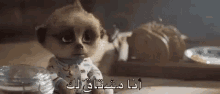 a meerkat is sitting on a table next to a plate of food and a jar of water .