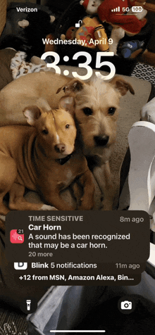 a phone screen shows a time sensitive car horn message