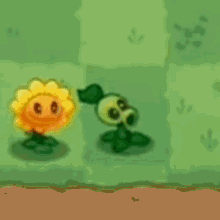 plants vs zombies plants peashooter sunflower