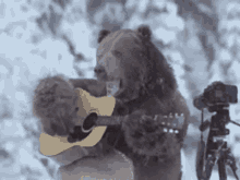 Wen Bear GIF - Wen Bear Guitar GIFs