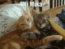 Hi Hi Mika GIF - Hi Hi Mika Mika GIFs