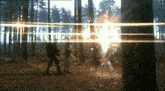 Primeval Anomaly GIF - Primeval Anomaly Nick Cutter GIFs