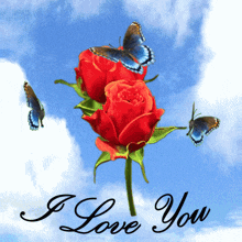 I Love You Red Rose GIF - I Love You Red Rose Blue Butterflies GIFs