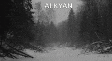 a black and white photo of a snowy forest with the word alkyan written above it