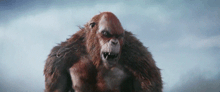 a close up of a furry gorilla with a cloudy sky in the background