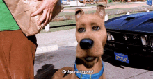 Scooby Doo Oh Hydrochronic GIF - Scooby Doo Oh Hydrochronic Hydrochronic GIFs